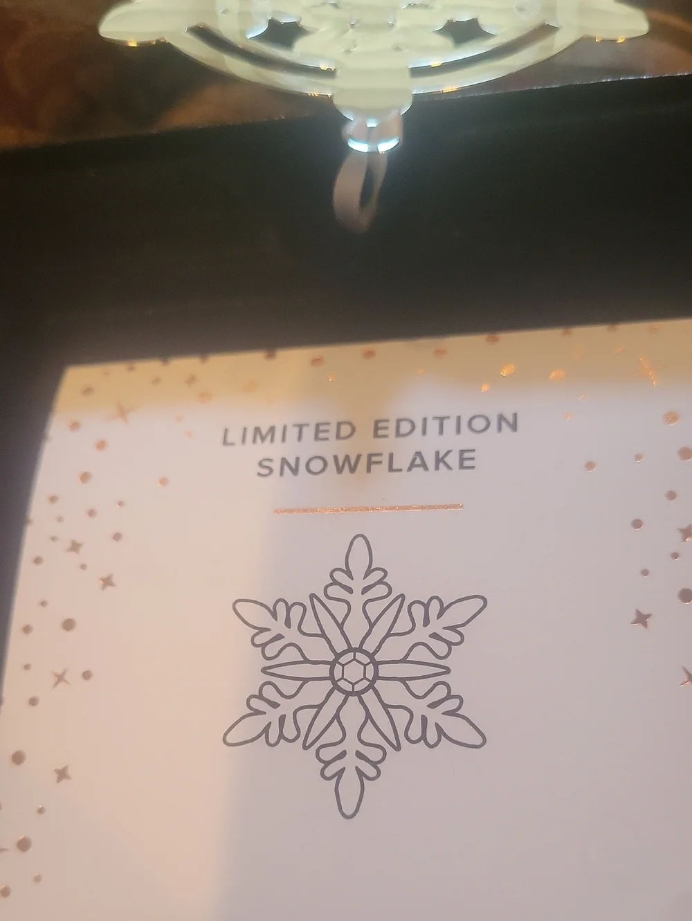 Alex Ani Limited Edition 2021 Holiday Snowflake Ornament Boxed Pretty Shiny Gem